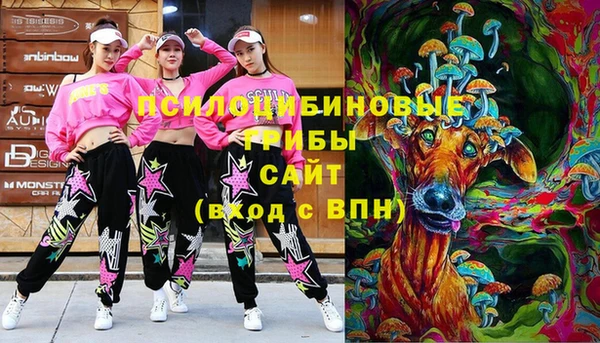 прущая мука Семилуки