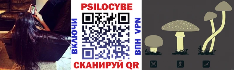 Галлюциногенные грибы прущие грибы  ОМГ ОМГ ССЫЛКА  Грязовец  цены наркотик 
